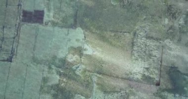 Suana 'daki deniz yosunlarının Nusa Penida Adası, Bali, Endonezya' daki hava görüntüsü. 