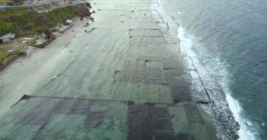 Suana 'daki deniz yosunlarının Nusa Penida Adası, Bali, Endonezya' daki hava görüntüsü. 