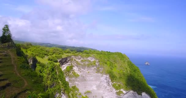 Αεροφωτογραφία Της Παραλίας Kelingking Και Των Βράχων Γύρω Από Nusa — Αρχείο Βίντεο
