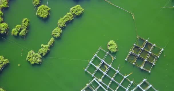 Aerial View Fish Shrimp Farm Lake Kintamani Mount Batur Bali — Wideo stockowe