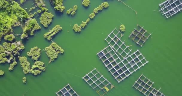 インドネシアのバリ島のバタ島近くのキンタマニ湖の魚とエビの農場の空中ビュー — ストック動画