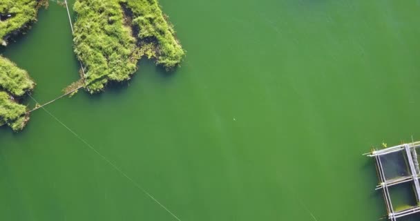 Flygfoto Fisk Och Räkodlingar Sjön Kintamani Nära Mount Batur Bali — Stockvideo