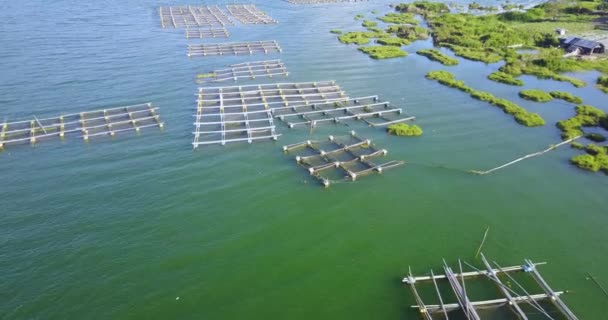 Vista Aérea Fazendas Peixe Camarão Lago Kintamani Perto Monte Batur — Vídeo de Stock