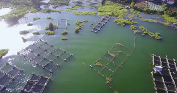 インドネシアのバリ島のバタ島近くのキンタマニ湖の魚とエビの農場の空中ビュー — ストック動画