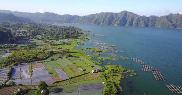 Luchtfoto Van Vis Garnalenkwekerijen Lake Kintamani Bij Mount Batur Bali — Stockvideo