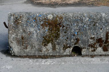 Yeşil ve kahverengi yosunlarla kaplı eski bir beton bariyerin görüntüsü..