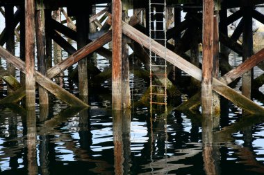 Dalgalar altında midyelerle kaplı büyük ahşap rıhtım sütunlarının görüntüsü..