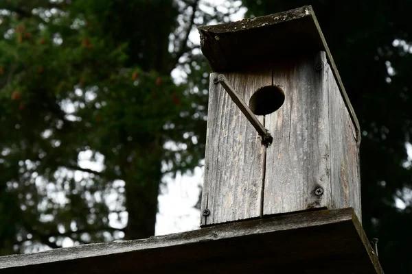 의집이 새들에게 사용되지 모습을 가까이 — 스톡 사진