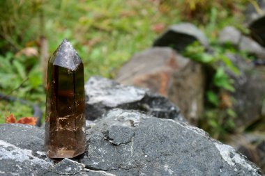 Çiçek bahçesinin kenarındaki bir kayanın üzerindeki dumanlı kuvars kristal kule görüntüsü..