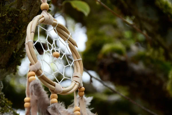 木の枝に吊るされた手作りの夢のキャッチャーのイメージ — ストック写真
