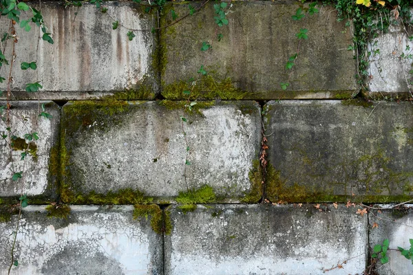 Uma Imagem Grandes Tijolos Concreto Desgastados Cobertos Musgo Verde Brilhante — Fotografia de Stock