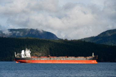 Limanda boşaltmayı bekleyen büyük bir kargo gemisinin görüntüsü.. 