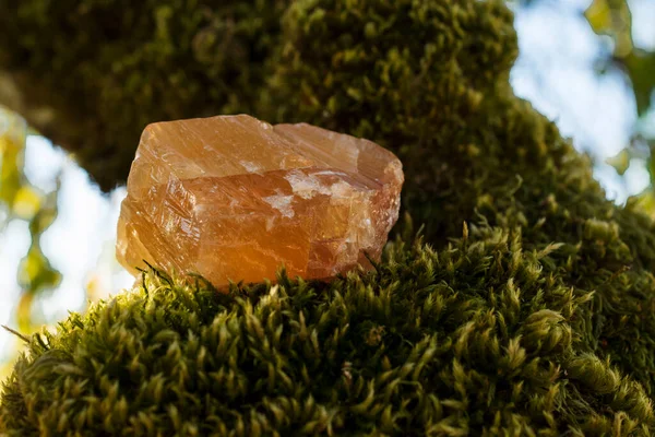 Image Large Piece Honey Calcite Tree Branch Which Covered Thick — Stock Photo, Image