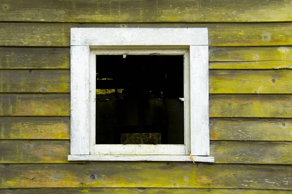 Изображение Старого Разбитого Окна Белой Деревянной Рамой Ярко Зеленой Окрашенной — стоковое фото