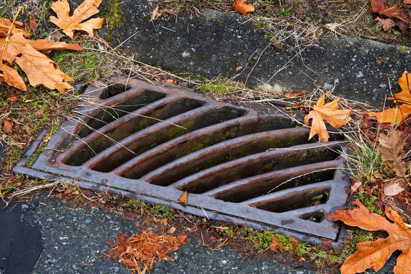 Stock image A close up image of a rectangular metal storm drain and dead autumn colored leaves. 