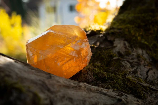 Backlit Image Honey Calcite Crystal Two Moss Covered Tree Branches — Stock Photo, Image