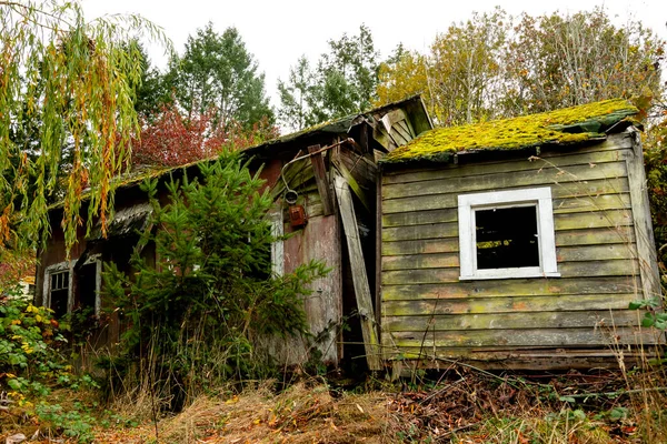 Egy Nagyon Lepusztult Elhagyatott Ház Képe Amit Sűrű Lombozat Moha — Stock Fotó