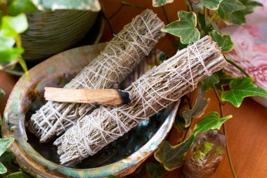 Deniz kulağı kabuğunun beyaz adaçayı lekeli ve kutsal ahşap bir görüntüsü.. 