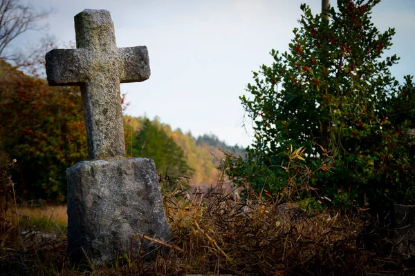 Una Imagen Una Sola Cruz Piedra Vieja Envejecida Cementerio Abandonado — Foto de Stock