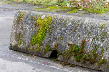 A close up image of a moss covered concrete road barrier in a parking lot.