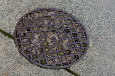 An image of a large round sewer lid on an urban street. 