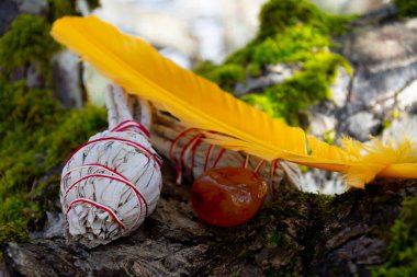 Kırmızı Carnelian kristali ve sarı tüylü iki beyaz adaçayı lekesi.. 