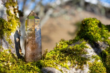 Bir yosun kaplı ağaç dalında uzun dumanlı kuvars kristal bir kule resmi.