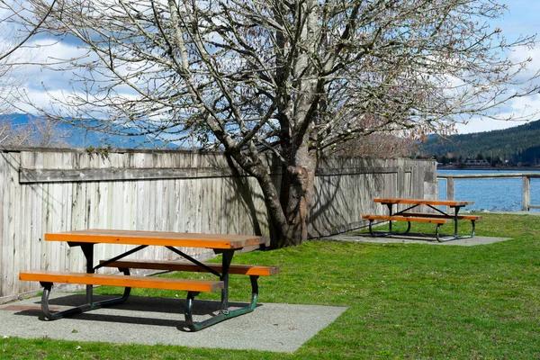 Une Image Deux Tables Pique Nique Bois Dans Parc Public — Photo