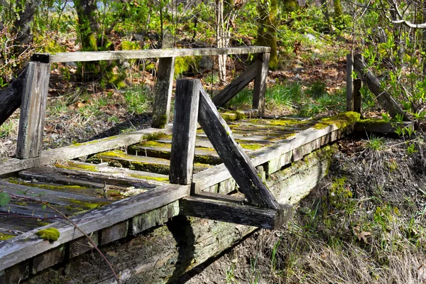 stock image An image of a very old dilapidated wooden bridge which is too dangerous to walk on. 