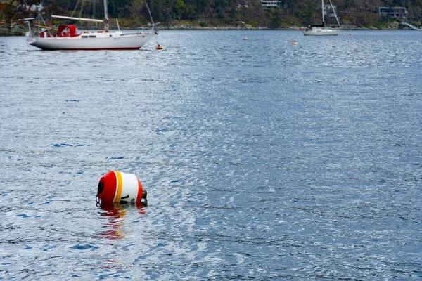 An image of a single red and white warning buoy floating in the water near the shoreline.