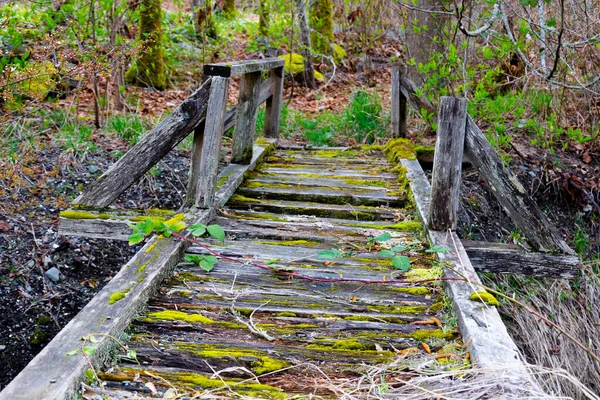 Image Very Old Dilapidated Wooden Bridge Which Too Dangerous Walk — Stock Photo, Image