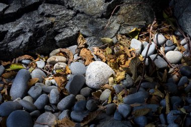 Yayılmış güneş ışığıyla küçük taşların soyut bir görüntüsü. Karmaşık ışık ve karanlık gölgeler yaratıyor..