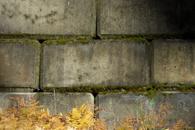 Büyük beton bloklardan inşa edilmiş, güzel yaşlanmış bir istinat duvarının soyut bir görüntüsü.. 