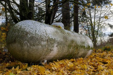 Parlak renkli sonbahar yapraklarıyla kaplı geniş silindirik bir propan tankının alçak açılı görüntüsü..