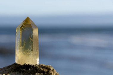 Arka planda mavi Pasifik Okyanusu olan bir ağaç parçasının üzerinde duran altın bir sitrin kristalinin sakin bir görüntüsü.. 