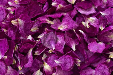 Kurumuş pembe gül yaprağı arkaplanının üst görüntüsü.