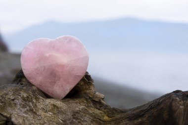 A peaceful image of a large rose quartz crystal heart on a rough piece of brown driftwood and ocean background.  clipart