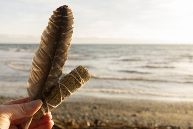 Arka planda Pasifik Okyanusu 'nun kutsal tüyü olan beyaz bir adaçayı çubuğunu tutan sakin bir el resmi..  