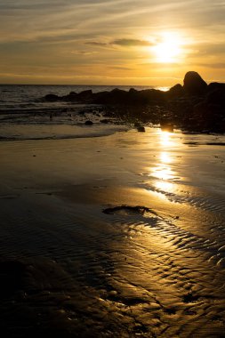 Kanada, Vancouver Adası 'ndaki Muir Creek' te altın bir günbatımı ve kumlu bir kıyı şeridi.. 