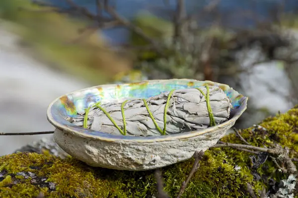 White Sage Healing Smudge Stick Abalone Seashell Resting Moss Covered Stock Image