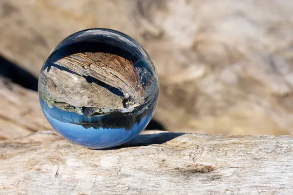 Photography Lens Ball Reflecting Image Old Weathered Piece Driftwood Stock Picture