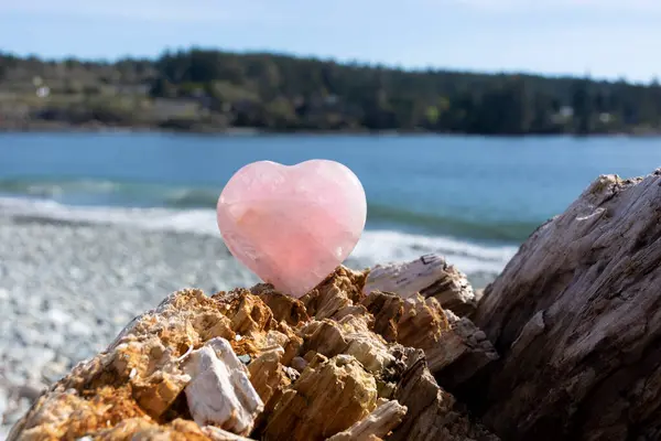 Peaceful Image Beautiful Rose Quartz Crystal Heart Driftwood Log Rocky — Stock Photo, Image