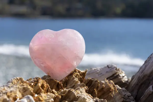 Close Image Rose Quartz Crystal Heart Resting Driftwood Pacific Ocean — Stock Photo, Image