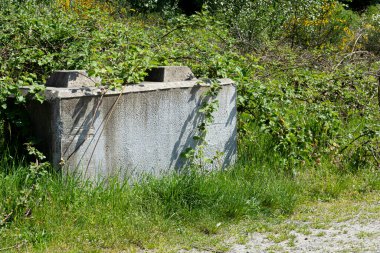 Otlar ve sarmaşıklarla büyüyen tek bir beton bariyerin görüntüsü..  