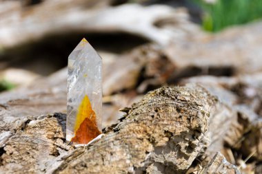 Kaba bir kütük üzerinde dinlenen Carnelian eklemeleri ile berrak bir kuvars kristalinin bir görüntüsü. 