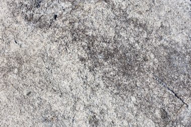Kaba gri ve beyaz doğal granit dokunun bir görüntüsü.