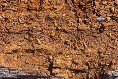 Çürüyen ve çürüyen kırmızı ağaç dokusunun soyut bir görüntüsü.. 