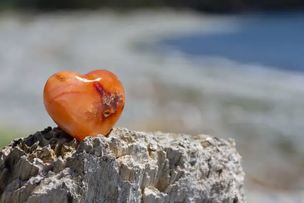 stock image A close up image of a red heart shaped carnelian crystal on rough driftwood with an ocean background. 