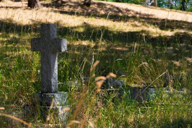 Uzun ve bakımsız otlarla çevrili yıpranmış eski bir mezar taşının resmi.. 