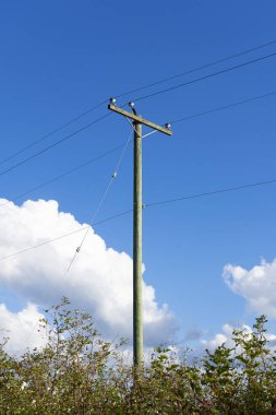 Kırsal bölgelerdeki elektrik dağıtım şebekesi için kullanılan uzun tahta bir elektrik direğinin görüntüsü.. 